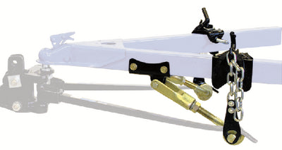 DUAL CAM HIGH-PERFORMANCE SWAY CONTROL (REESE)