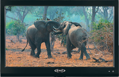 19" LED 12V TV (JENSEN)