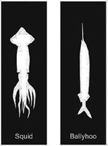 BAITFISH STENCILS (SeaHawk)