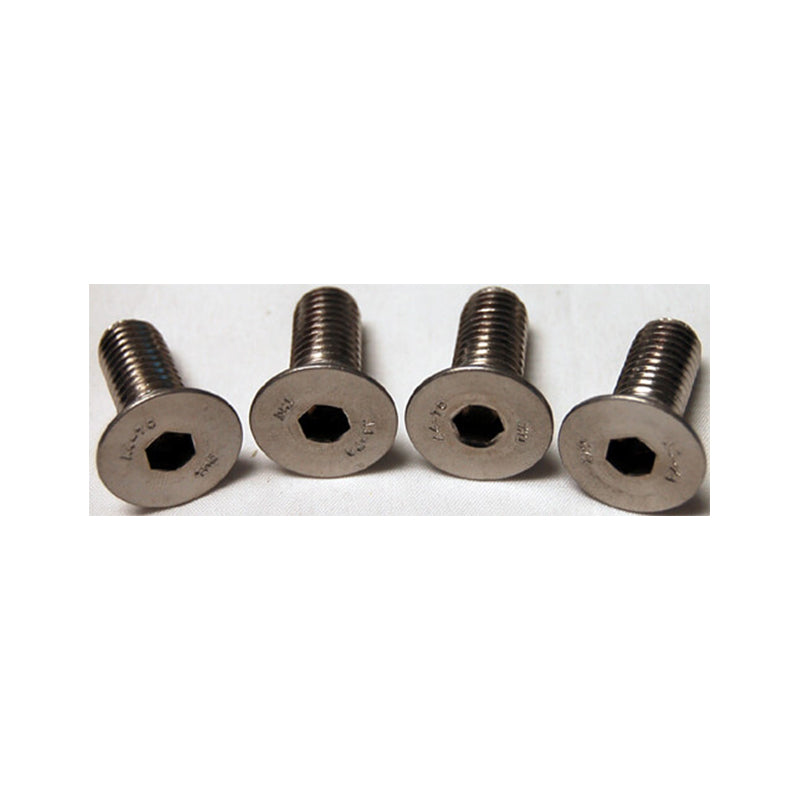 Screw, M-10 x 25mm, flat head, set of four used for IP adaptor SE100IP and larger