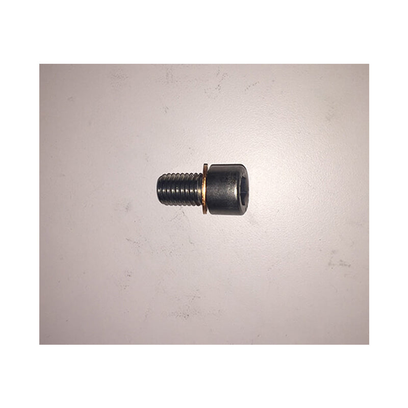 Screw, M12 x 20, Oil Drain screw & copper seal 12 x 18 x 1.5mm, for 386mm thrusters