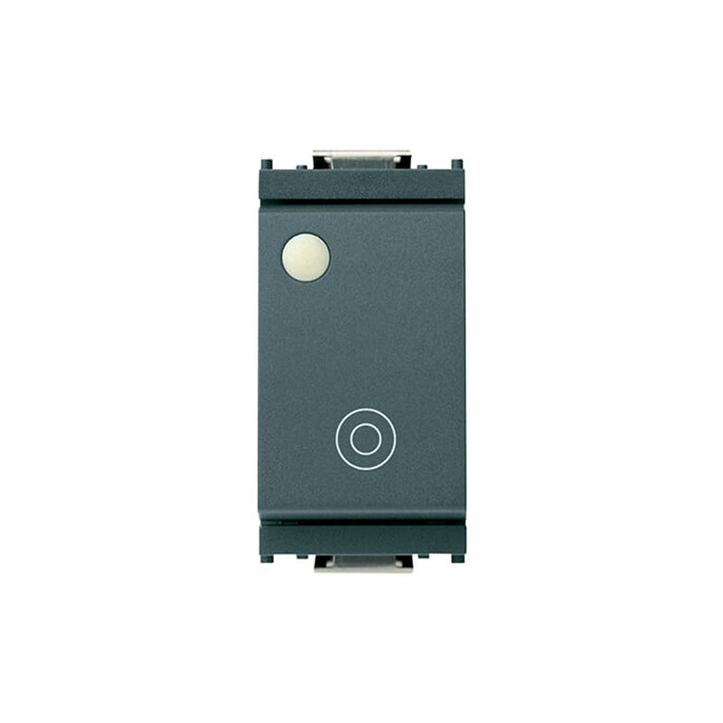 Switch: Momentary,1P1T (NO)10A Illum Gen Sym w/Indicator Grey