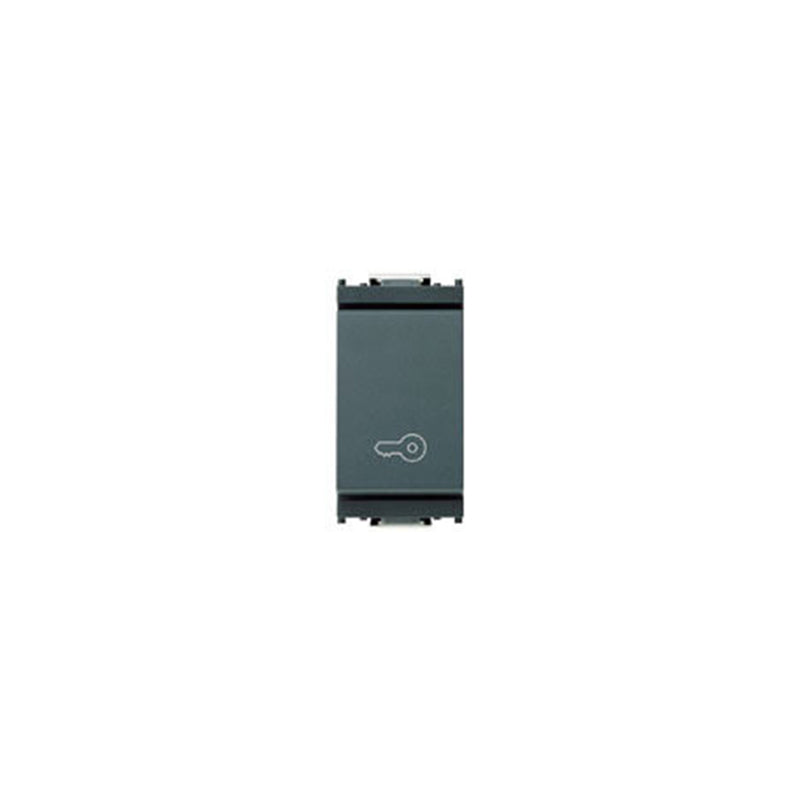 Switch: Momentary, 1P1T (NO), 10A, Key Symbol, Grey, Idea *Surcharge may apply if buying <20*