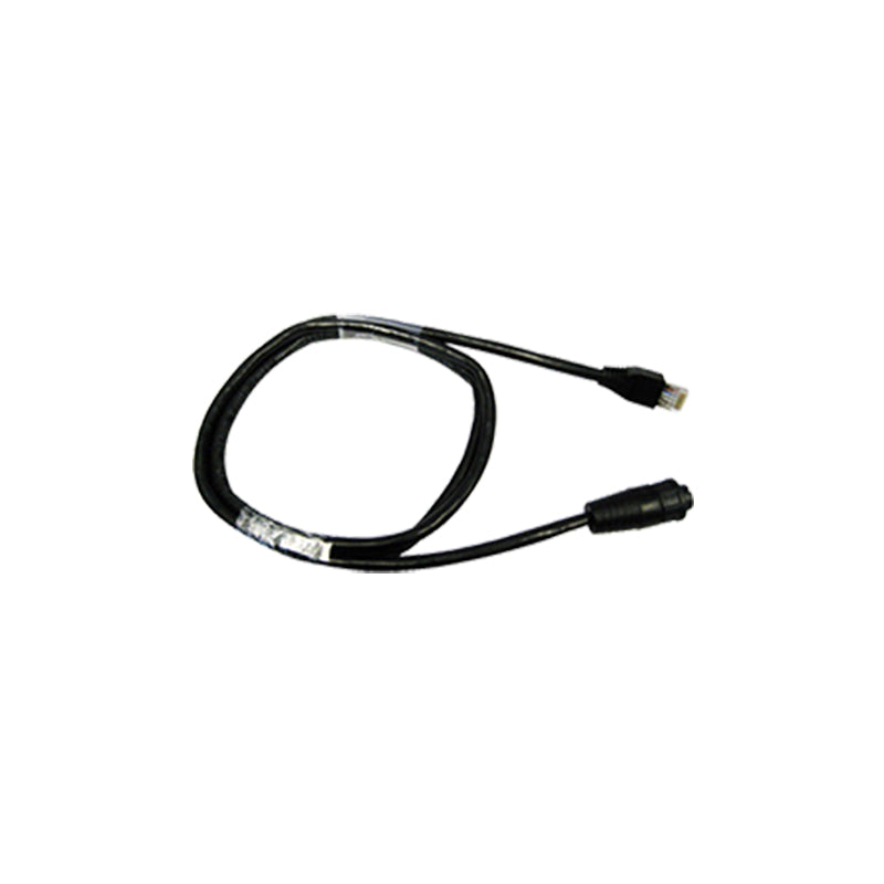 RayNet-RJ45 Cable, Straight, 100', M400