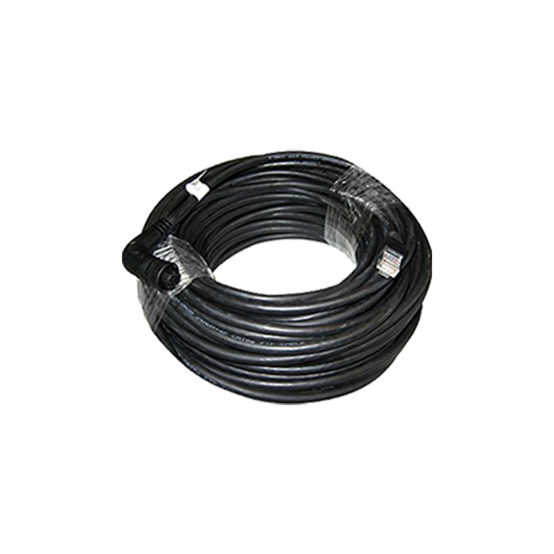 RayNet-RJ45 Cable, Angled, 100', M-400