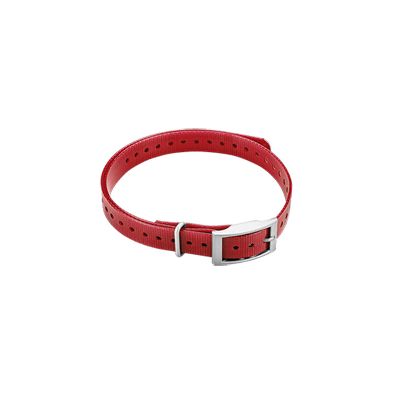 3/4" Dog Collar, training device, red