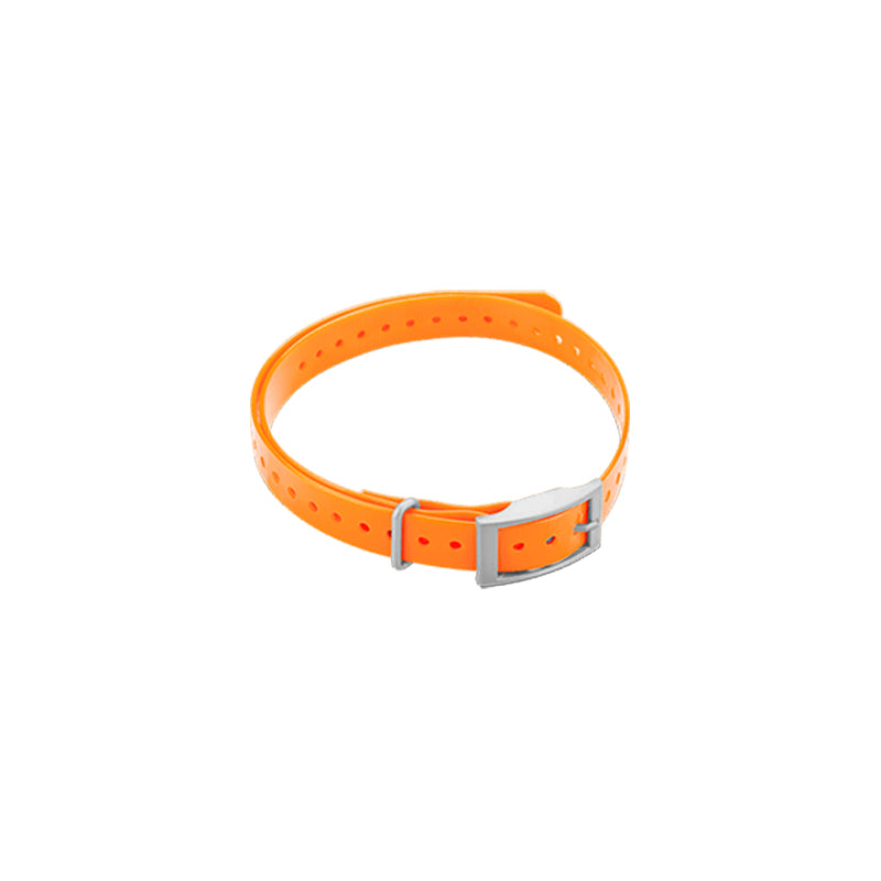 3/4" Dog Collar Strap, Orange