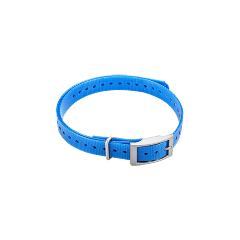 3/4" Dog Collar, training device, blue