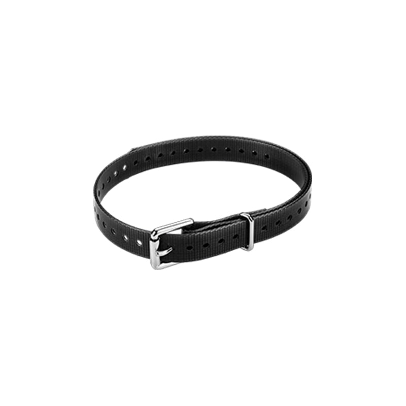 3/4" Roller Buckle Collar Strap (Black)