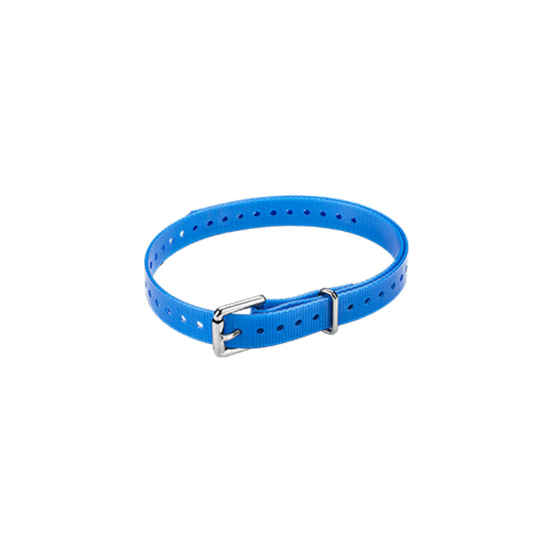 3/4" Roller Buckle Collar Strap (Blue)