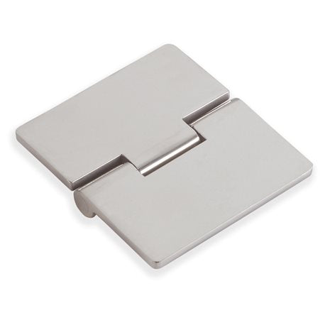 Stainless steel flush hinge