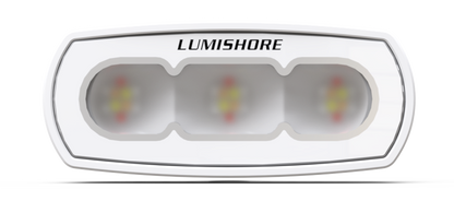 LUX FLOOD LIGHT, 4"