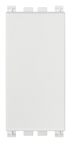 Blank module white
