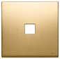 Plate 2Mx1 Flat gold