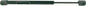NITRIDE COATED NAUTALIFT™ – GAS LIFT SUPPORTS (SIERRA)