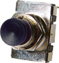 PUSH-BUTTON STARTER & HORN SWITCH (SIERRA)