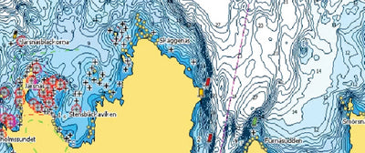 C-MAP DISCOVER CHARTS (C-MAP)