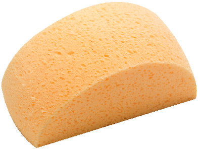 ALL-PURPOSE SPONGE (CAPTAIN'S CHOICE)