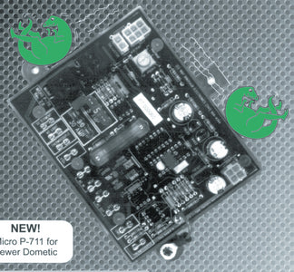 CIRCUIT BOARDS (DINOSAUR ELECTRONICS)