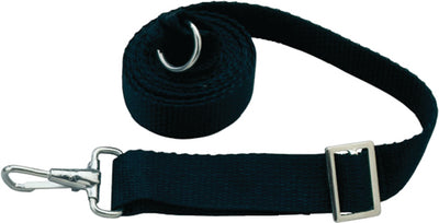 ADJUSTABLE TIE DOWN STRAPS (TAYLOR)