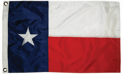 STATE FLAG (TAYLOR)