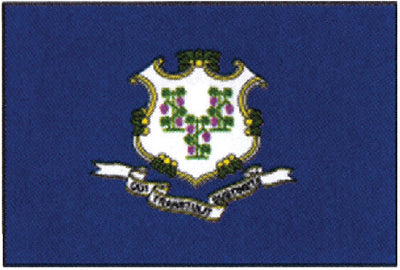 STATE FLAG (TAYLOR)