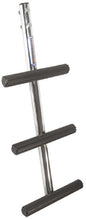 SPORT/DIVER BOARDING LADDER (WINDLINE)