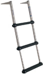OVER PLATFORM TELESCOPING LADDER (WINDLINE)