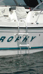 STAINLESS STEEL TELESCOPING GUNWALE HOOK LADDER (WINDLINE)
