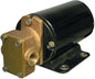 SELF PRIMING GEAR PUMP (GROCO)