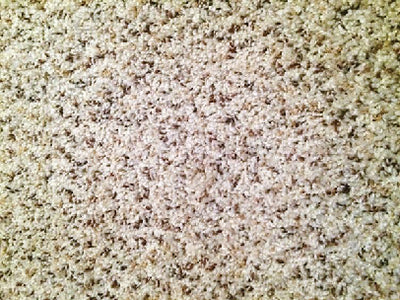 DYNAMO CARPET (SYNTEC)