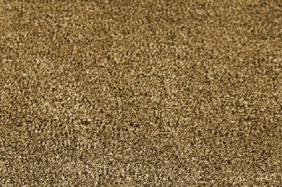 PLATINUM II MARINE CARPET (SYNTEC)