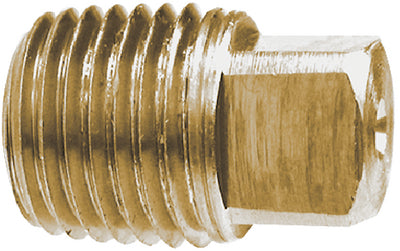 SOLID SQUARE HEAD PLUG (BRASS FITTINGS)