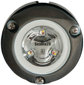 ZAMBEZI MINI PONTOON SURFACE MOUNT UNDERWATER LIGHT ( LUMETIC)