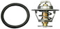 THERMOSTAT KITS & ACCESSORIES (SIERRA)