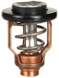 THERMOSTAT KIT - OUTBOARD (SIERRA)