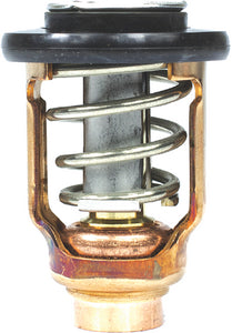THERMOSTAT KIT - OUTBOARD (SIERRA)
