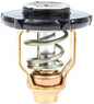 THERMOSTAT KIT - OUTBOARD (SIERRA)
