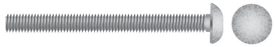 CARRIAGE BOLTS (SEACHOICE)