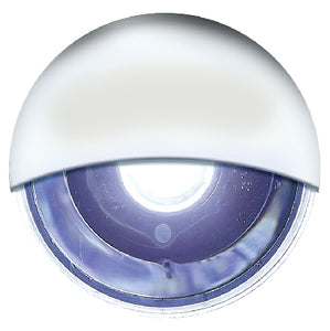 LED MINI ACCENT OR LIVEWELL LIGHT (SEACHOICE)
