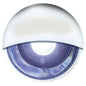 LED MINI ACCENT OR LIVEWELL LIGHT (SEACHOICE)