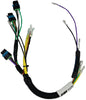 MERCURY INTERNAL ENGINE HARNESS (CDI ELECTRONICS)
