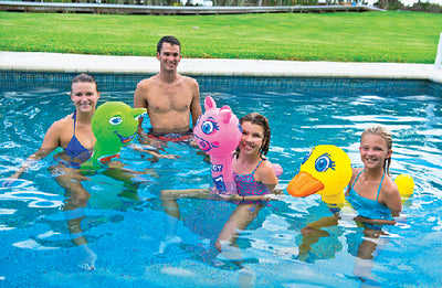 POOL PAL (WOW SPORTS)
