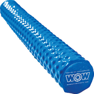DIPPED FOAM POOL NOODLE (WOW)