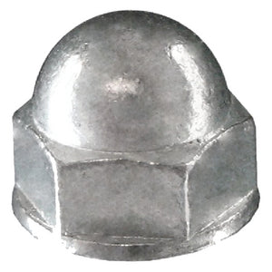 ACORN NUTS (PAYNES)