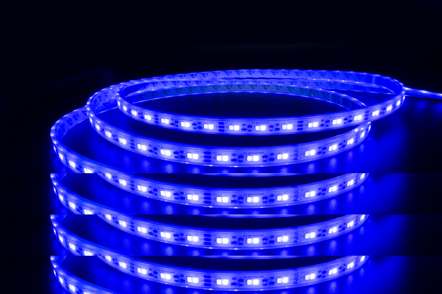 ECLIPSE STR LIT SL100, BLUE (1M)
