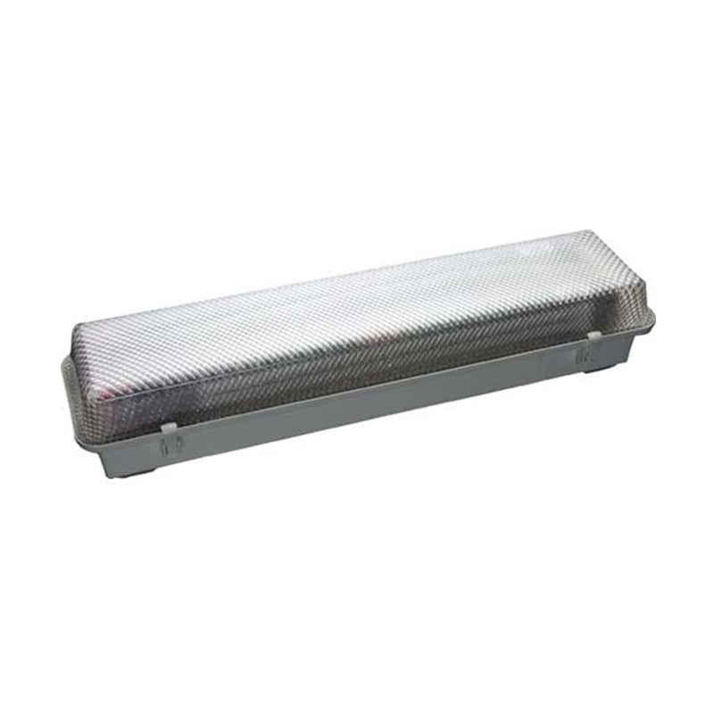 2' Engine Room Light, 2 x 24W, 120-277VAC