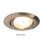 Leer LED Adjustable Downlight, Matte Chrome,IP20 10-30VDC, Warm White, Master (Dimmable)