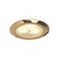 Leer LED Downlight, Gold, WW/Blue, 10-30VDC Master (Dimmable), IP20