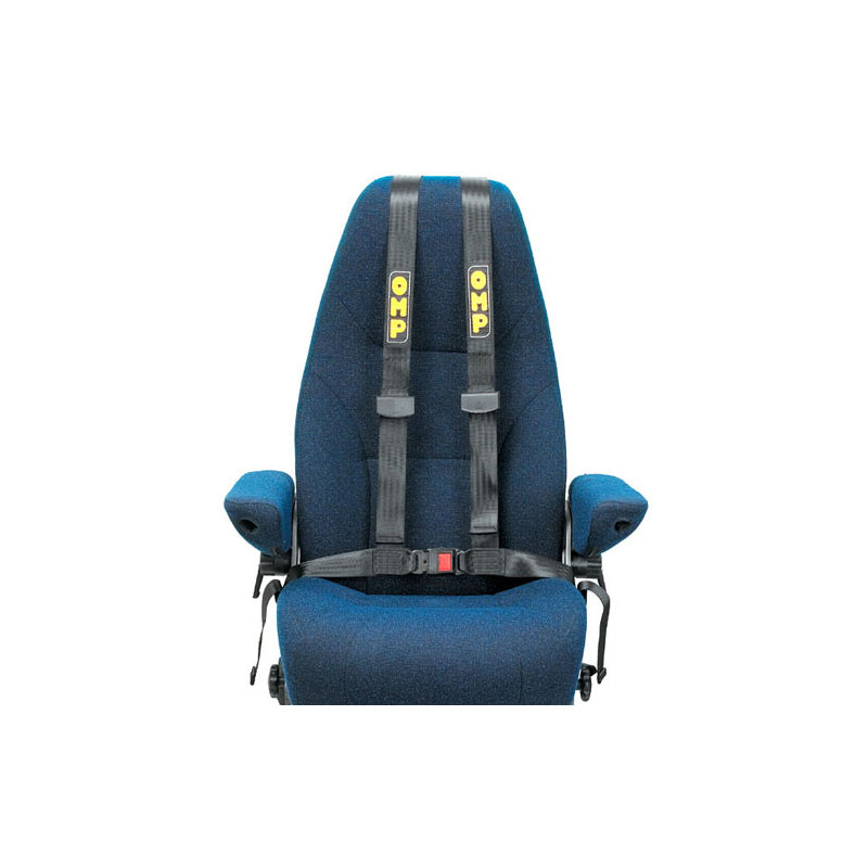 4-Point Seat Belt